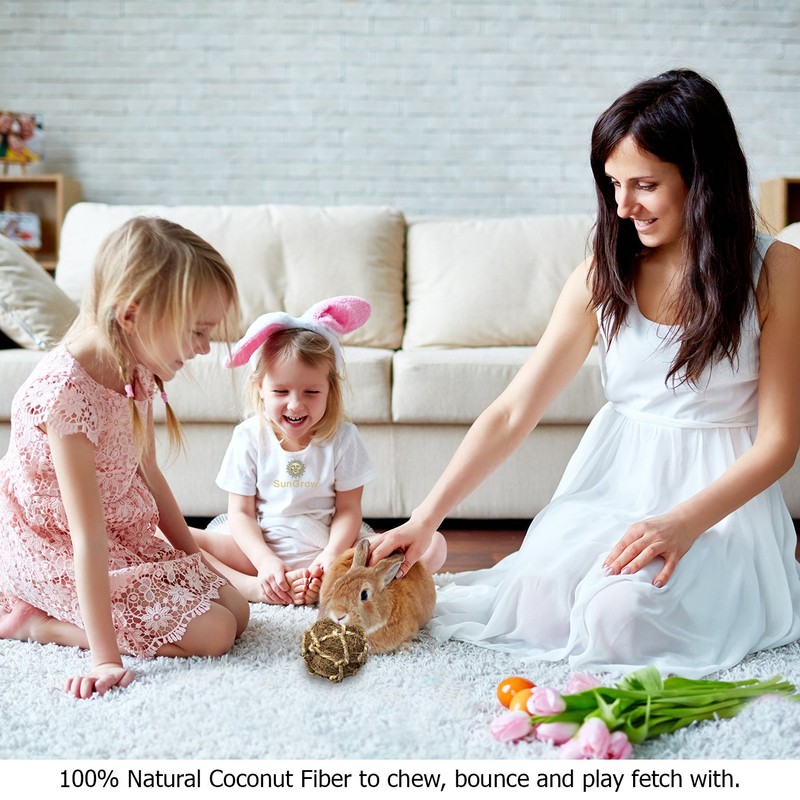 SunGrow Cat, Dog, Rabbit & Ferret Dental Teeth Floss Ball,