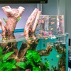 Inverted Fish Tank with Automatic Water Refill, Tabletop Aquarium with