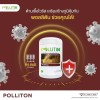 Pollitin 2 x Polliton Nutraceutical Dietary Supplement Graminex Rye Grass