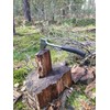 Camping Hatchet Axe 34 x 12 x 2.5 cm Ergonomic