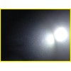 D15 Lighting White LED Interior Bulb License Plate Light for