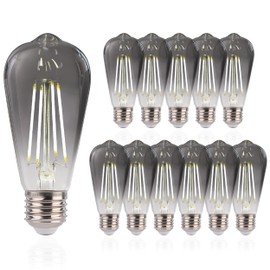 FLSNT LED Edison Bulbs, 5000K White Light Dimmable ST19 LED Light Bulbs, E26 Base,4W(40W Equivalent), CRI82+, 150LM, 12 Pack, Smoky Grey Glass