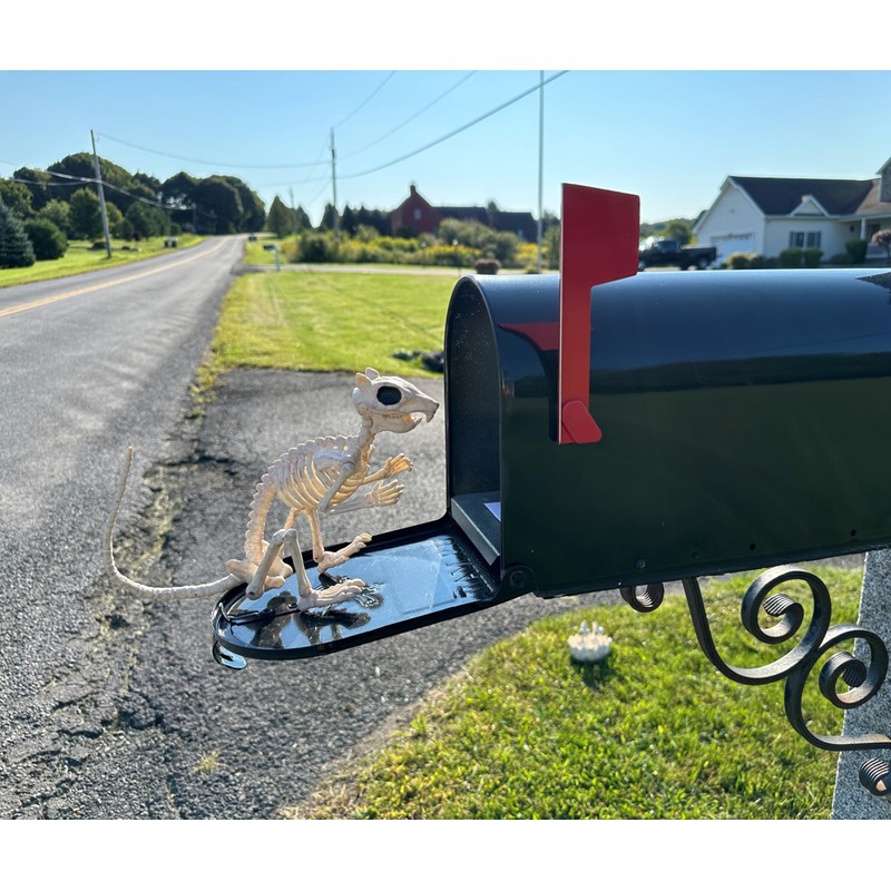 Crazy Bonez Skeleton Squirrel