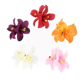 5Pcs Hawaiian Lily Flower Hair Clip for Women Girls Fashion Bohemian Flowers Hair Accessory for Dancer Bridal Wedding Beach Party Clips(ZS643)