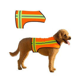 Reflective Dog Vest. Hi Visibility Blaze Orange Hunting Safety Vest Adjustable, Lightweight for Outdoor use - Hiking, Walking & Hunting. Water Resistant (Small)