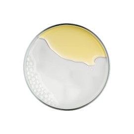 OLOS Biphasic Micellar Water, 8.4 oz - Makeup Remover - Facial Cleanser Suitable for All Skin Types - No Fragrance, No Color - Mild on Sensitive Skin