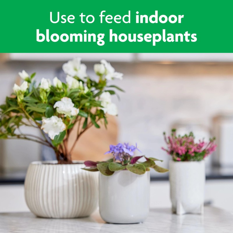 Miracle-Gro Blooming Houseplant Food - Fertilizer for Indoor Plants, 8