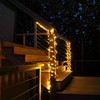 NOMA Duo Bulb String Lights, 200 Warm White LED's, 24.9