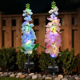 TANSOREN 2 Pack Solar Garden Lights Outdoor, LED Colorful Waterproof Solar Powered Hyacinth Flowers Landscape Lights for Patio, Outside Yard, Pathway Decorative, Décor, Gifts, Two Lighting Modes