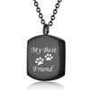 Urn Necklaces for Cat Dog Ashes My Best Friend and