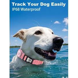 WhoseID Leather Dog Collar with Waterproof AirTag Holder - QR Code Buckle, Adjustable Length for Fit Medium Dogs (Pink, Medium Dogs)