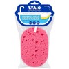 Esponja Exfoliante Doble Textura T.TAIO para Limpieza Corporal