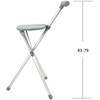 Elder Gift Stool Folding Cane Seat Aluminum Alloy Tube Non-Locked