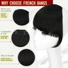 Felendy Clip in Bangs, Synthetic Fake Bang Hair Clip, French