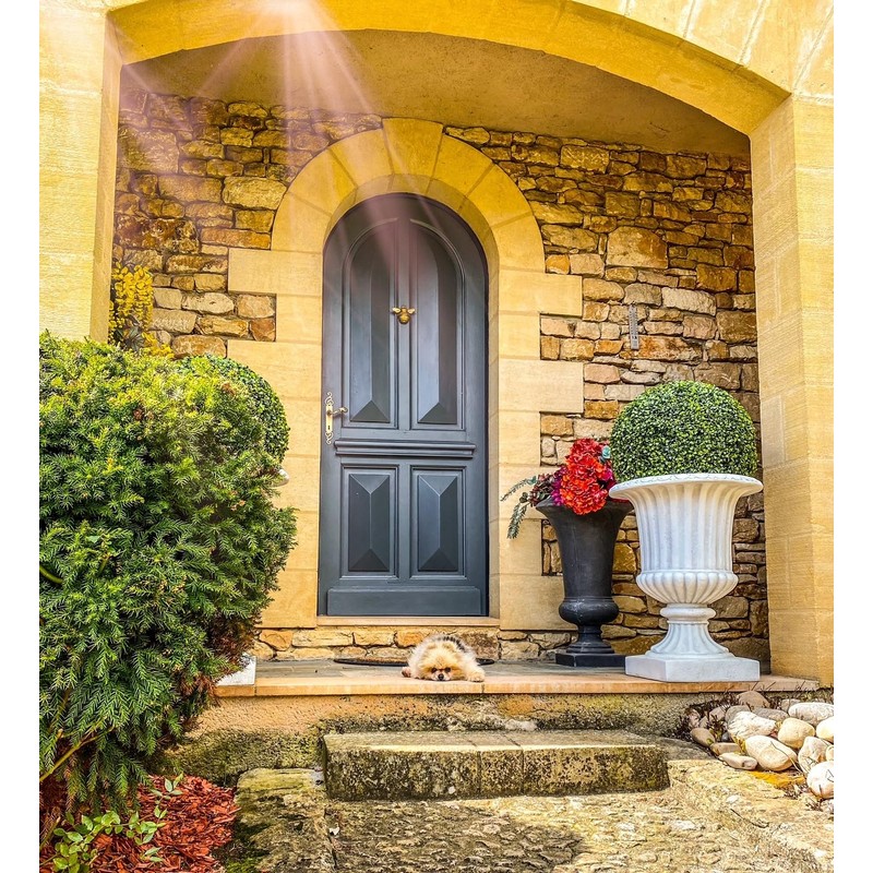 Gold Bee Door Knocker for Front Door | Polished Solid