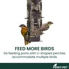 Perky-Pet 336-1SR Squirrel-Be-Gone Bird Feeder, 2LB Squirrel Proof Outdoor Wild