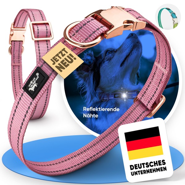 Glamour Dog Collar L 40-65 cm Dog Collar for Large