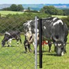 HoLarXuQ Chain Link Fabric Fence Stretcher,5-Thicken Hook Bar,31.5 Inch Woven
