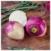 Everwilde Farms - 1/4 Lb Purple Top White Globe Turnip