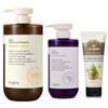 Eco Glam Volume Shampoo Citrus + Treatment + Essence BNS / 에코글램 볼륨 샴푸 시트러스 + 트리트먼트 + 에센스 BNS