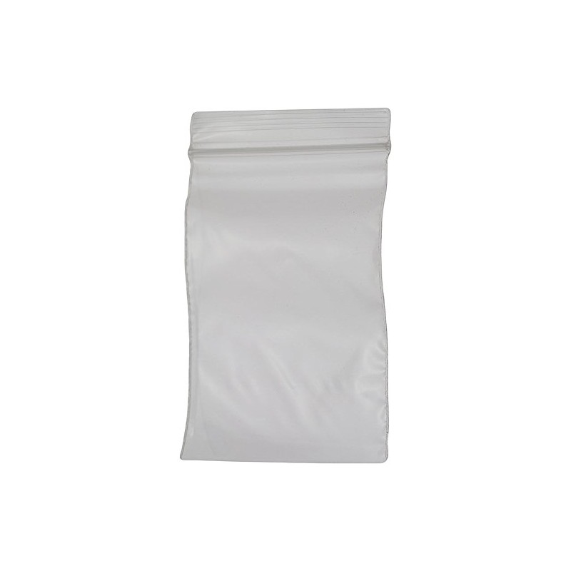 SE 2" x 3" Self-Locking Bags (100 Count) - ZB23