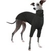 Greyhound Jumper, Pullover Greyhound Pajamas Lurcher Shirt Dog Sweatshirts Dog