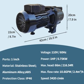 LCyindu 1HP Shallow Well Jet Pump, 110V, 10.57GPM, 216ft Max. Head, Stainless Steel, Black, Versatile Pump for Farm, Lawn, Garden
