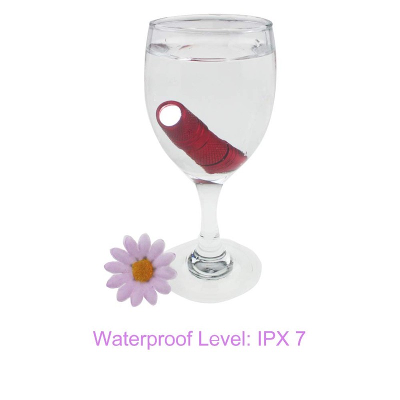 SdeNow Mini Flashlight Keychain EDC 200 lumens USB Micro Rechargeable