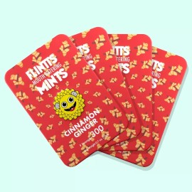 Flintts Mouth Watering Mints - Cinnamon Ginger - F-Strength 300 - 4 PACK