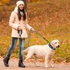 haapaw Reflective Dog Collar Padded with Soft Neoprene Breathable Adjustable