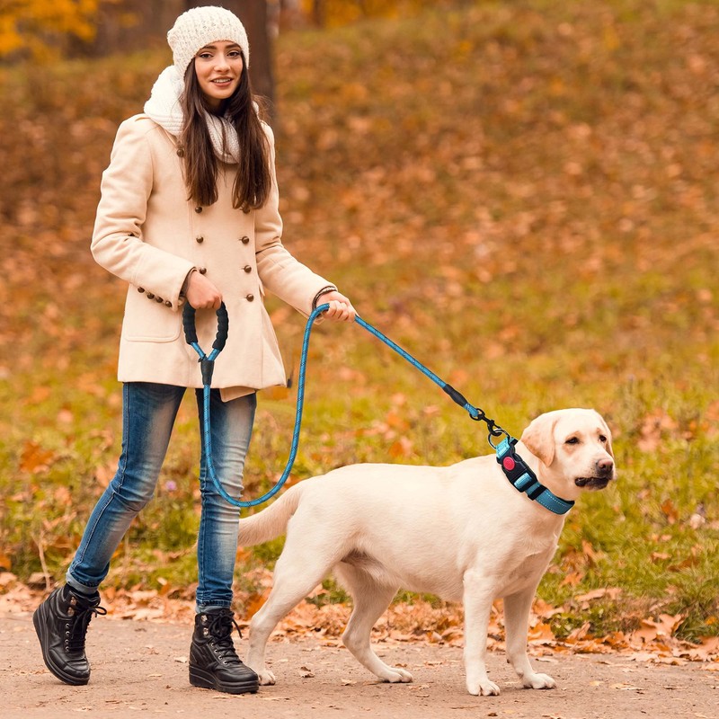 haapaw Reflective Dog Collar Padded with Soft Neoprene Breathable Adjustable