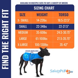 SafetyPUP XD Dog Reflective Vest – Hi-Vis Fluorescent Visibility That Helps to Safeguard Your Pet On/Off Leash in Urban & Rural Areas (Blue, Small)