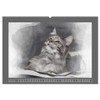 Maine Coon Aquarelle (Wandkalender 2026 DIN A2 quer), CALVENDO Monatskalender: