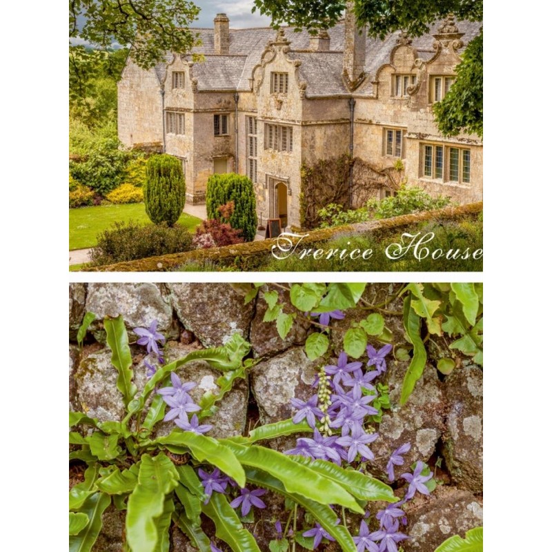 CALVENDO Garden and Mansion Trerice House in Cornwall, England