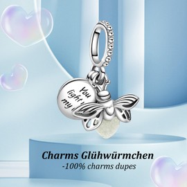Purhole Dupes Moments Charm Pendant Silver 925 Bracelet Charms, Sterling Silver