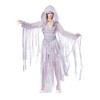 California Costumes Women's Haunting Beauty Costume Small Silver