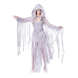 California Costumes Women's Haunting Beauty Costume Small Silver