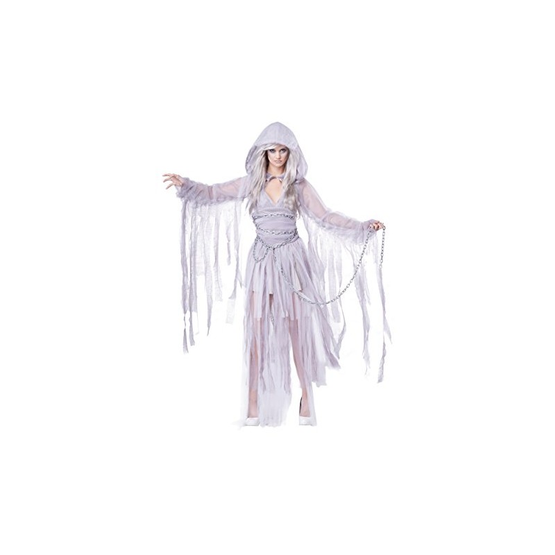 California Costumes Women's Haunting Beauty Costume Small Silver