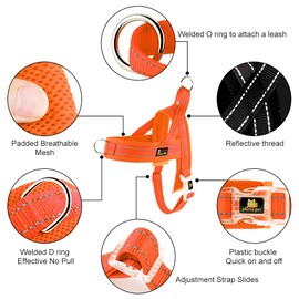 Plutus Pet No Pull Dog Harness with Breathable Mesh Padded, Adjustable Reflective Escape Proof Dog Harness, Quick Fit Dog Vest Harness for Small Medium Large Dogs(XS, Orange)
