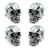 Bashineng Skull License Plate Bolts Fasteners License Plate Screw Decoration