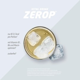 Best Body Nutrition Best Body Nutrition Vital Drink ZEROP® - Ginger Ale, Original Getränkekonzentrat - Sirup - zuckerfrei, 1:80 ergibt 80 Liter Fertiggetränk, 1000 ml