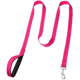 FunTags 6FT Reflective Dog Leash with Soft Padded Handle for Training,Walking Lead for Large & Medium Dog,1 Inch Wide,HOTPINK