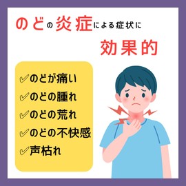【指定医薬部外品】日新薬品工業 ノドローネ のど飴 グリーンアップル味 16粒× 2個セット 喉の痛み CPC 殺菌 消毒 ドロップ