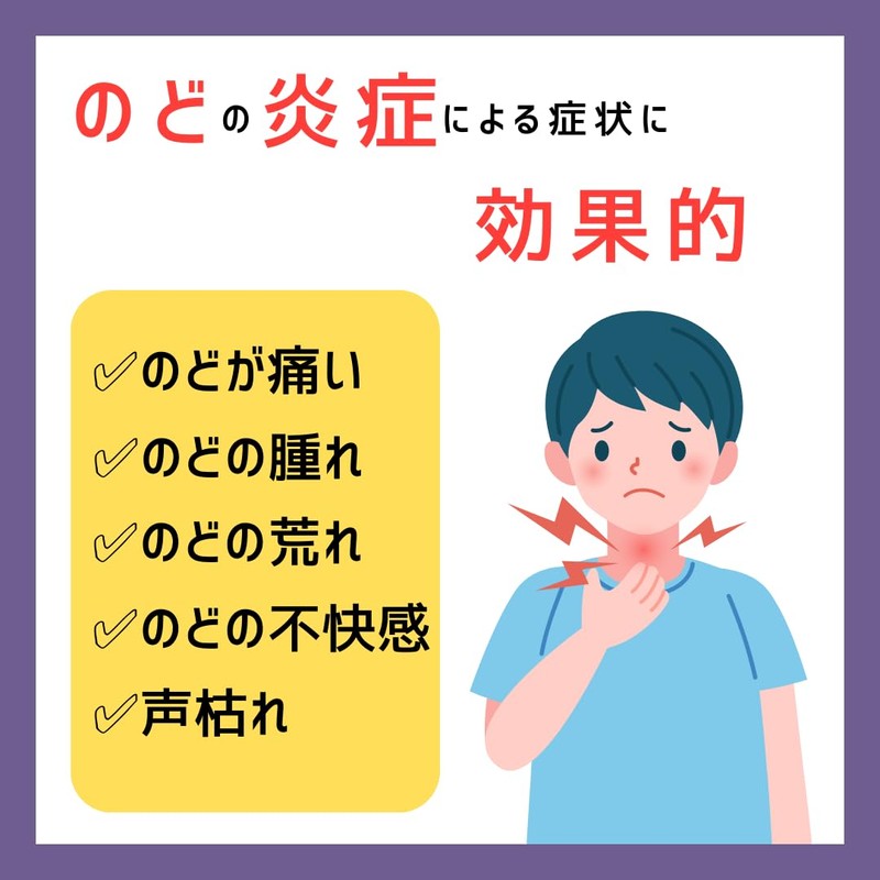 【指定医薬部外品】日新薬品工業 ノドローネ のど飴 グリーンアップル味 16粒× 2個セット 喉の痛み CPC 殺菌 消毒