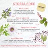 Bigelow Benefits Stress Free Rose & Mint Herbal Tea, Caffeine