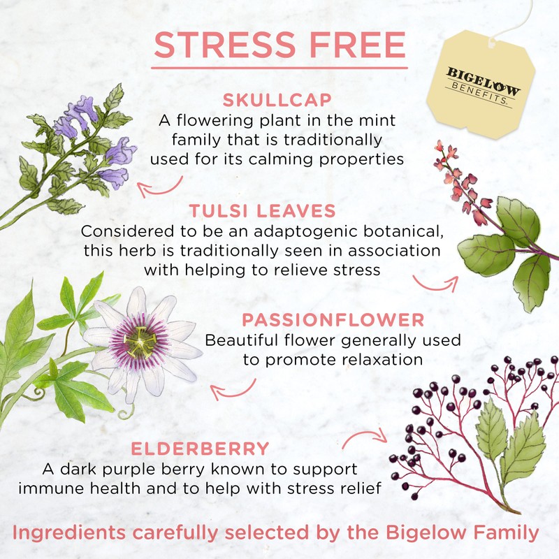 Bigelow Benefits Stress Free Rose & Mint Herbal Tea, Caffeine