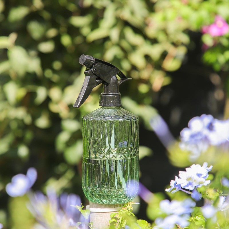 OFFIDIX Fine Mist Plant Mister,Handheld Pressure Glass Spray Bottles,0.43L/15.17oz Watering