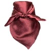 Wyoming Traders Wild Rag Cranberry Jacquard Silk Scarf