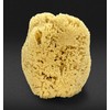 Real Sea Sponge for Men - Extra Large 6"-7", Totally