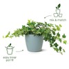 elho Brussels Round 16 - Flower Pot for Indoor -